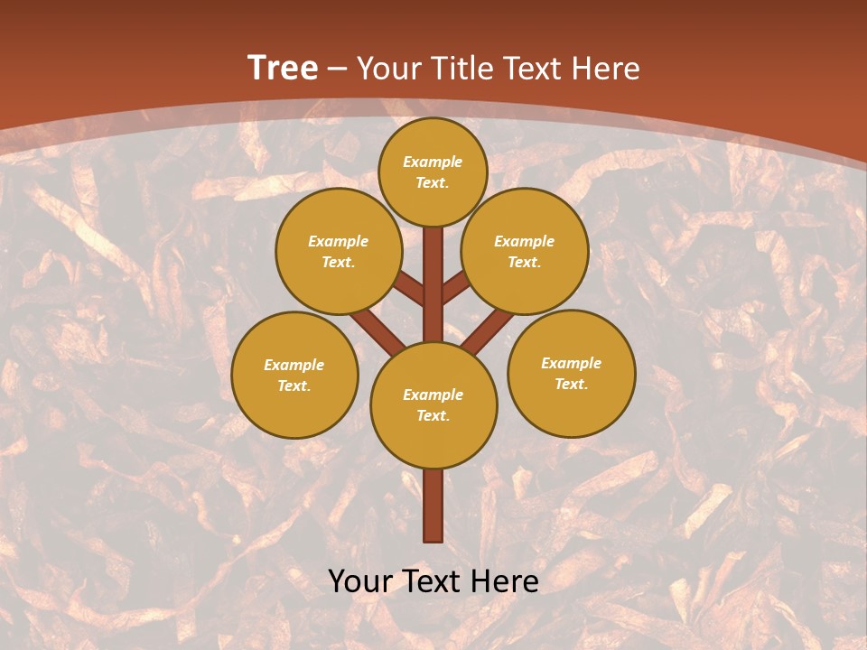 Construction Purchase Estate PowerPoint Template