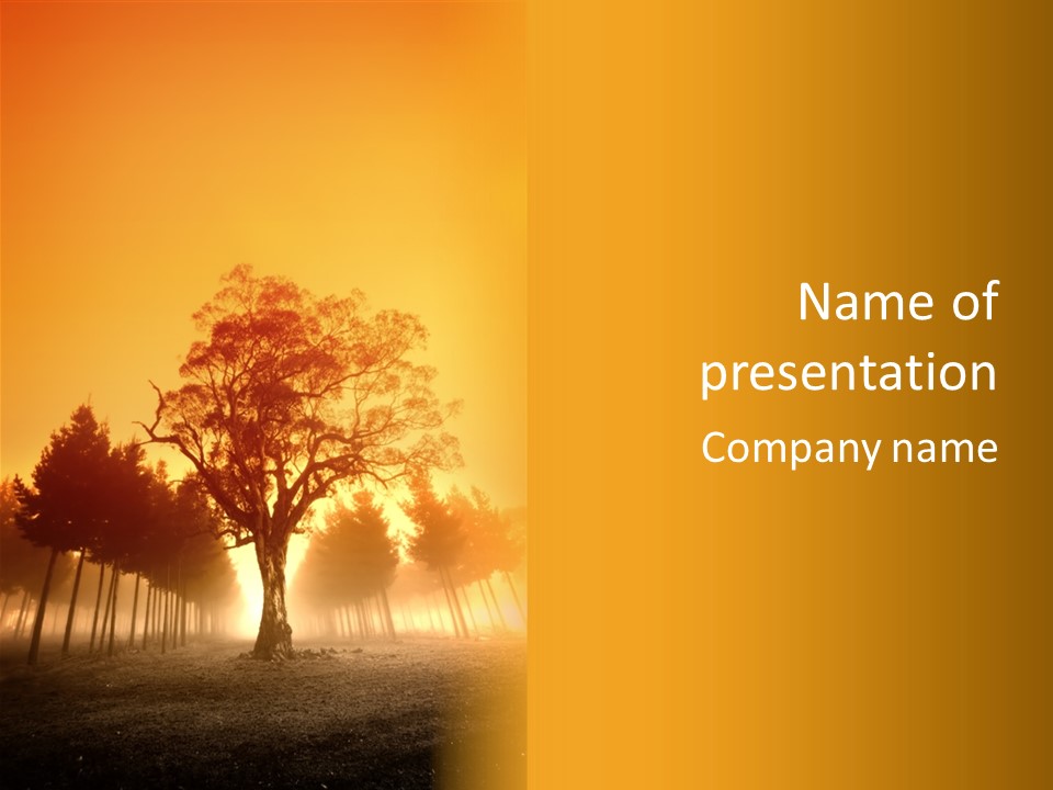 Model Ownership Lawn PowerPoint Template