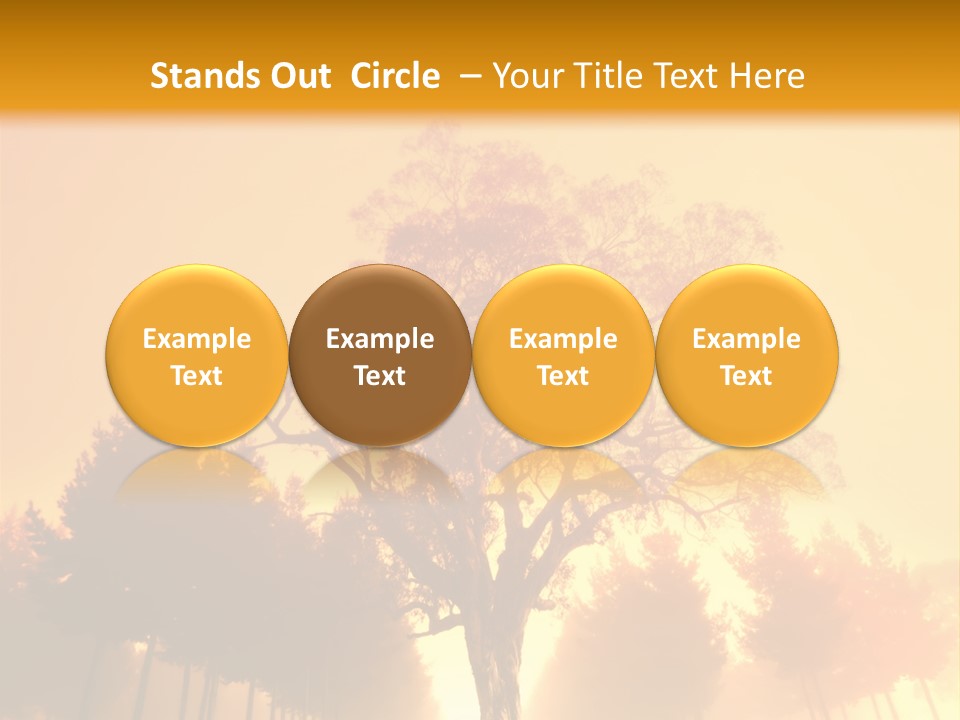 Model Ownership Lawn PowerPoint Template