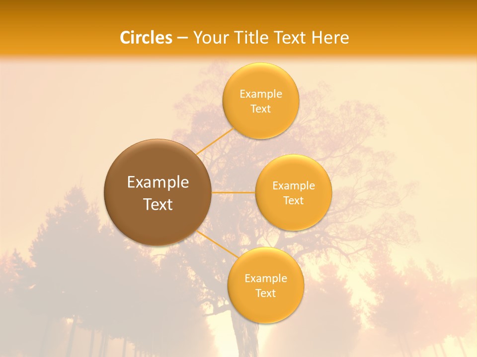 Model Ownership Lawn PowerPoint Template