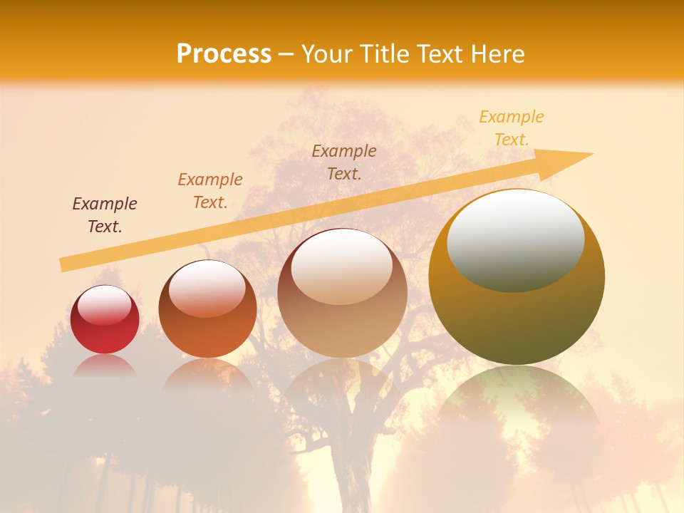Model Ownership Lawn PowerPoint Template