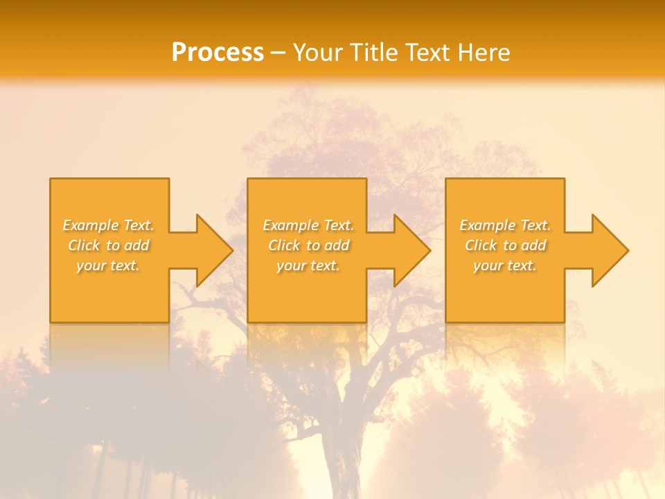 Model Ownership Lawn PowerPoint Template