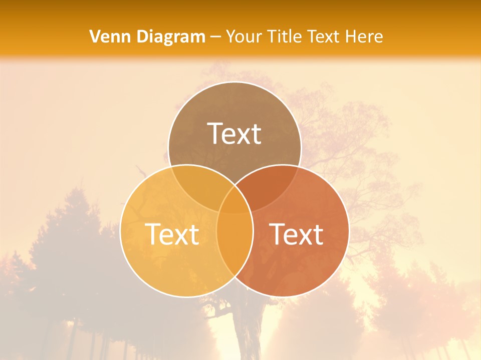 Model Ownership Lawn PowerPoint Template
