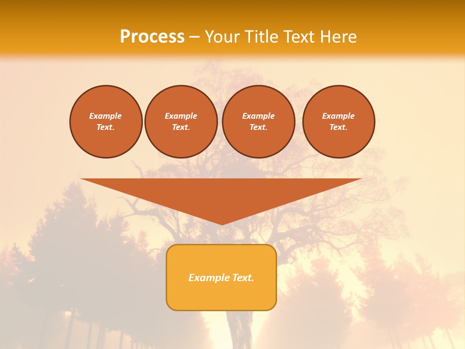 Model Ownership Lawn PowerPoint Template