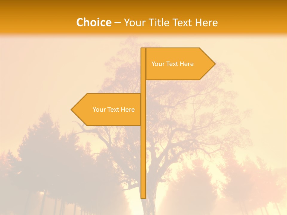 Model Ownership Lawn PowerPoint Template