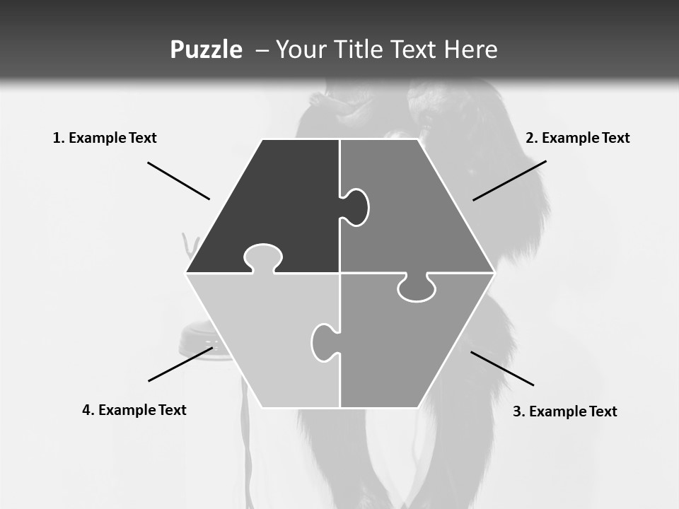 Park Small Architect PowerPoint Template