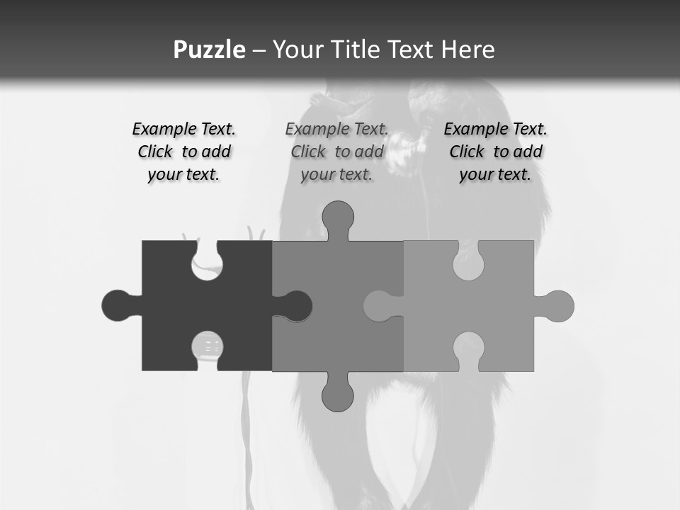 Park Small Architect PowerPoint Template