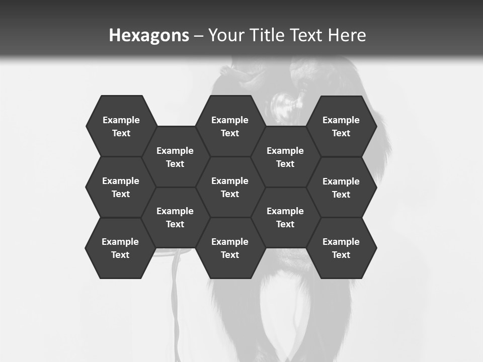 Park Small Architect PowerPoint Template