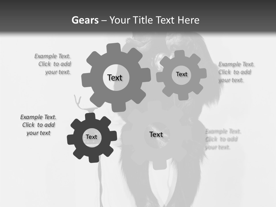 Park Small Architect PowerPoint Template