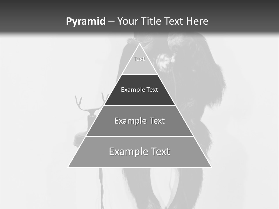 Park Small Architect PowerPoint Template