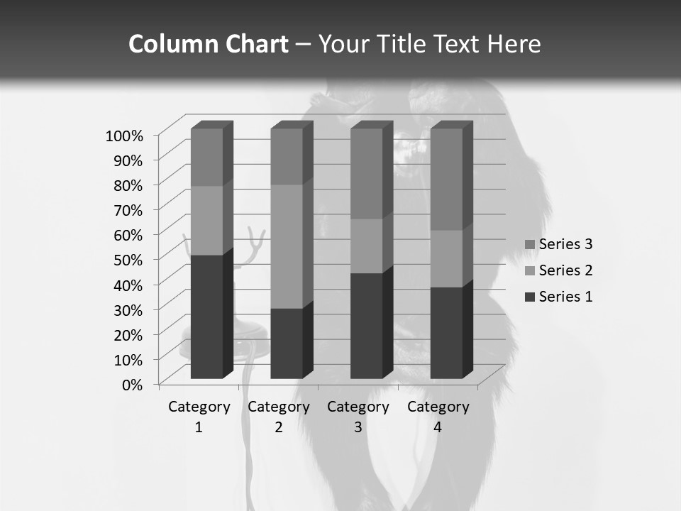 Park Small Architect PowerPoint Template