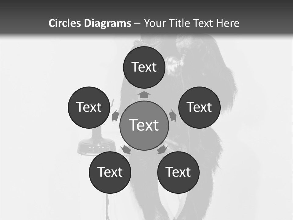 Park Small Architect PowerPoint Template