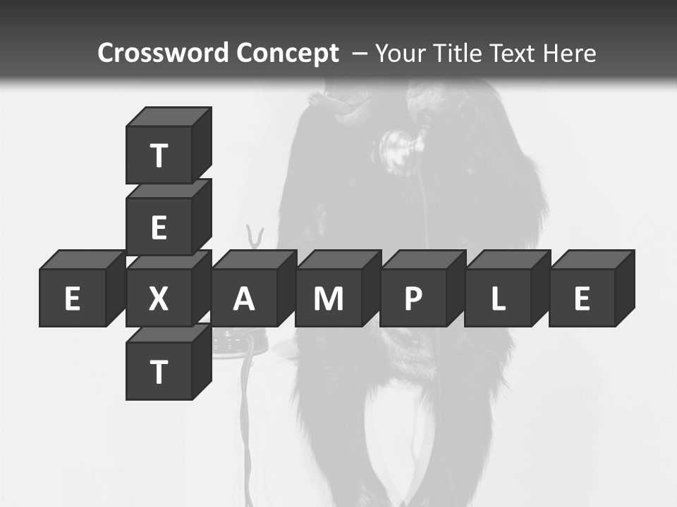 Park Small Architect PowerPoint Template