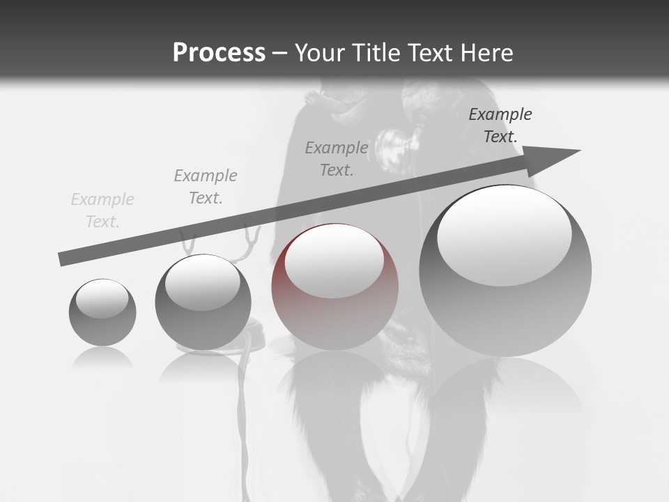 Park Small Architect PowerPoint Template
