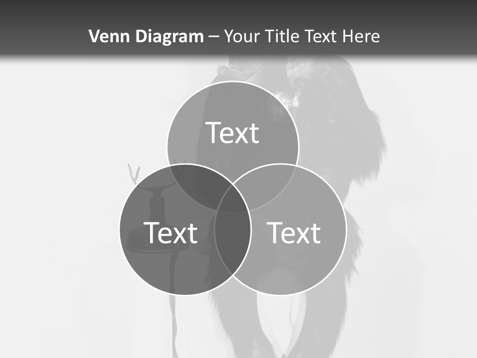 Park Small Architect PowerPoint Template
