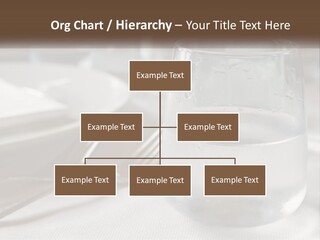 Grass Dream Background PowerPoint Template