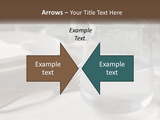 Grass Dream Background PowerPoint Template