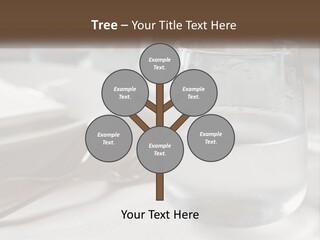 Grass Dream Background PowerPoint Template