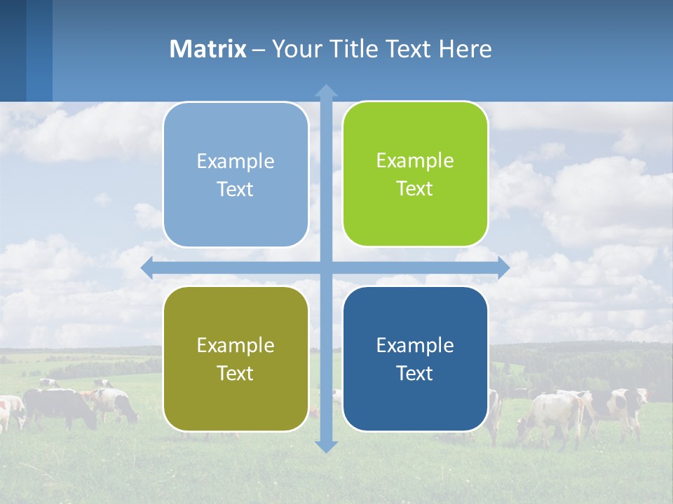 Cows In The Field PowerPoint Template