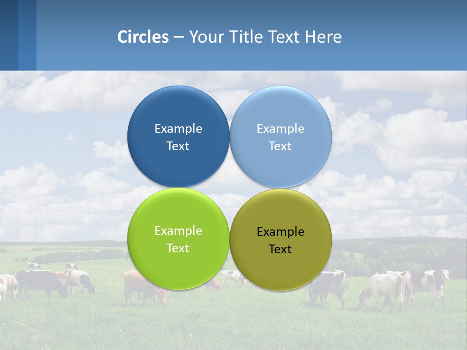 Cows In The Field PowerPoint Template