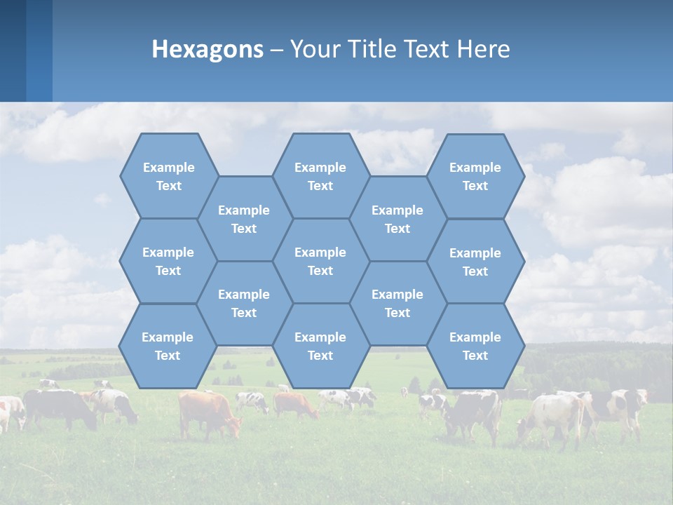 Cows In The Field PowerPoint Template