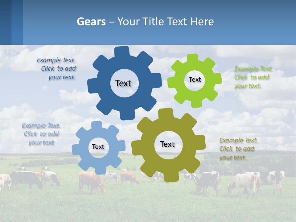 Cows In The Field PowerPoint Template
