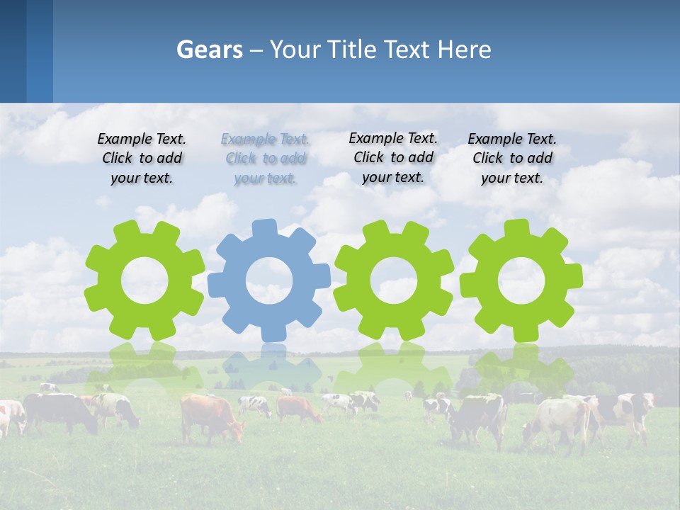 Cows In The Field PowerPoint Template