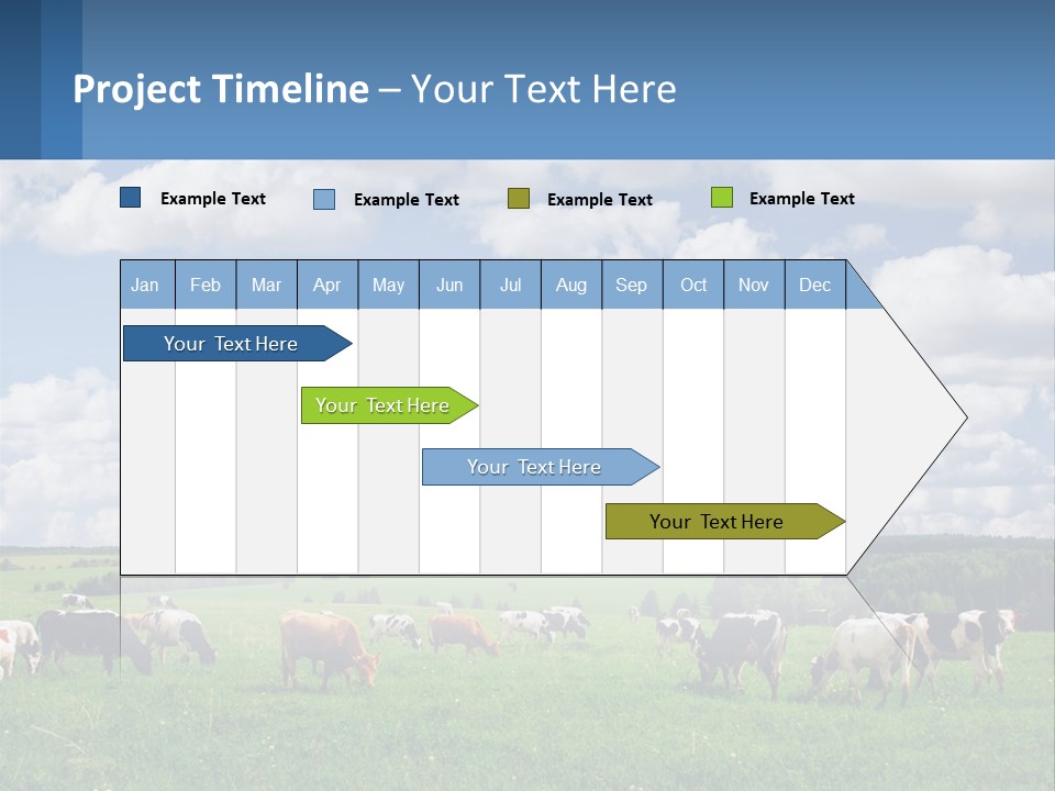 Cows In The Field PowerPoint Template
