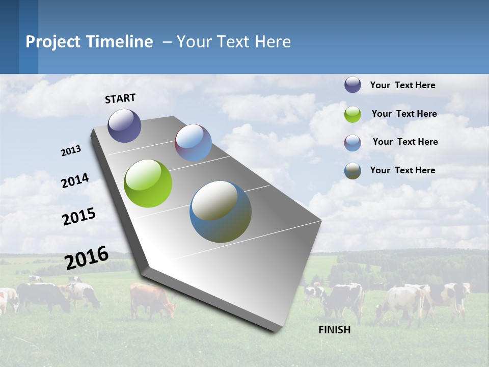 Cows In The Field PowerPoint Template