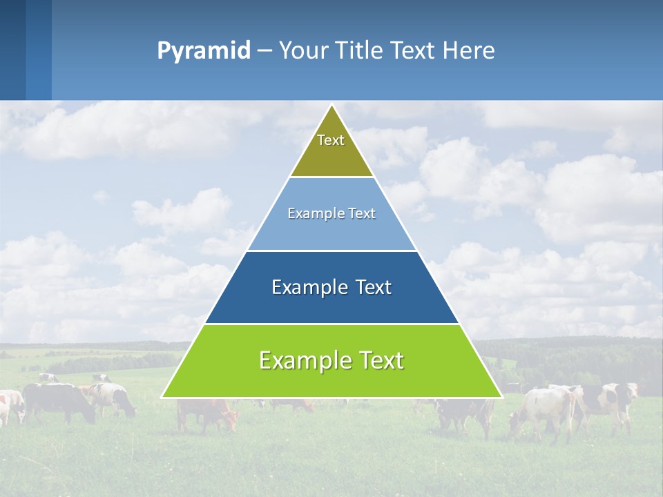 Cows In The Field PowerPoint Template