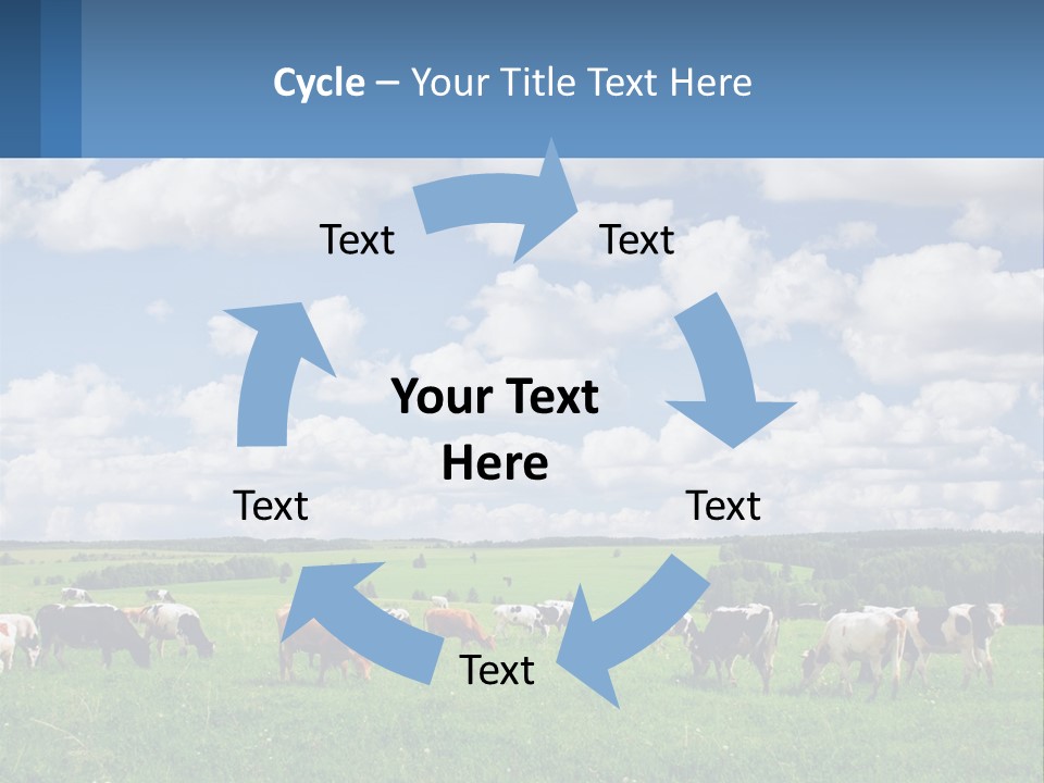 Cows In The Field PowerPoint Template