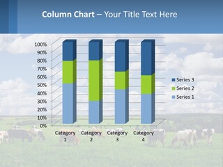 Cows In The Field PowerPoint Template