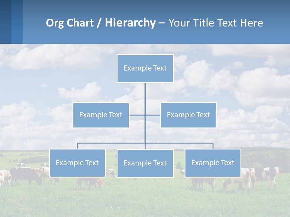 Cows In The Field PowerPoint Template