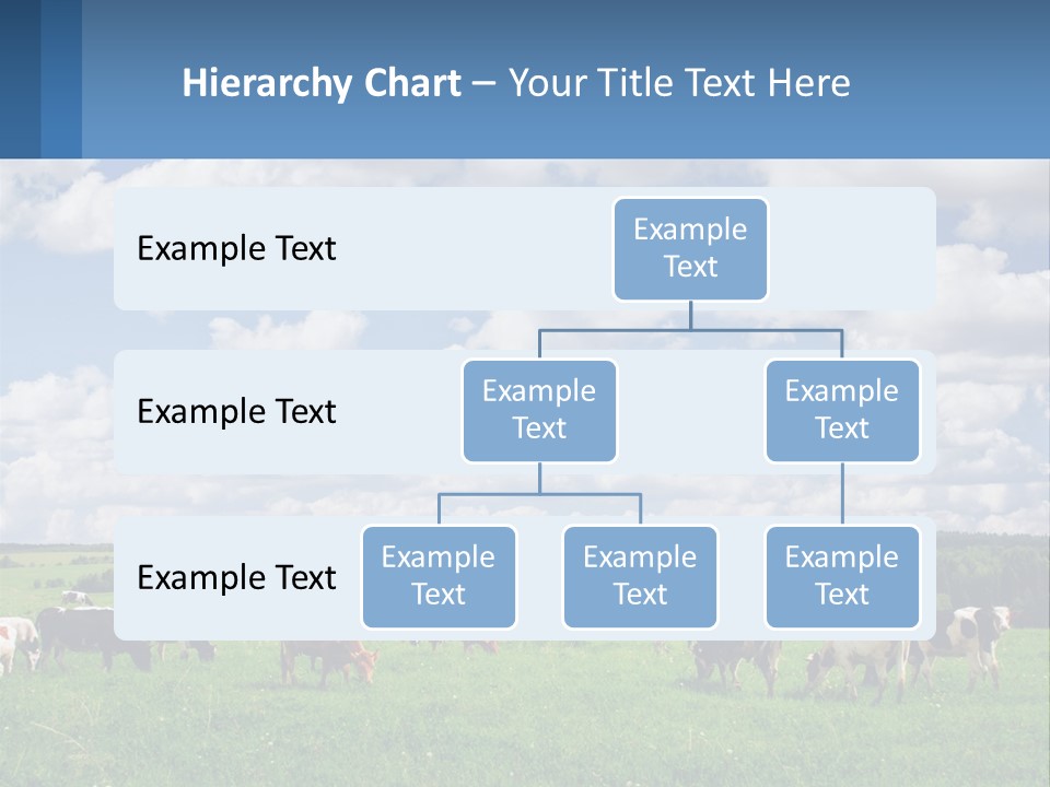 Cows In The Field PowerPoint Template