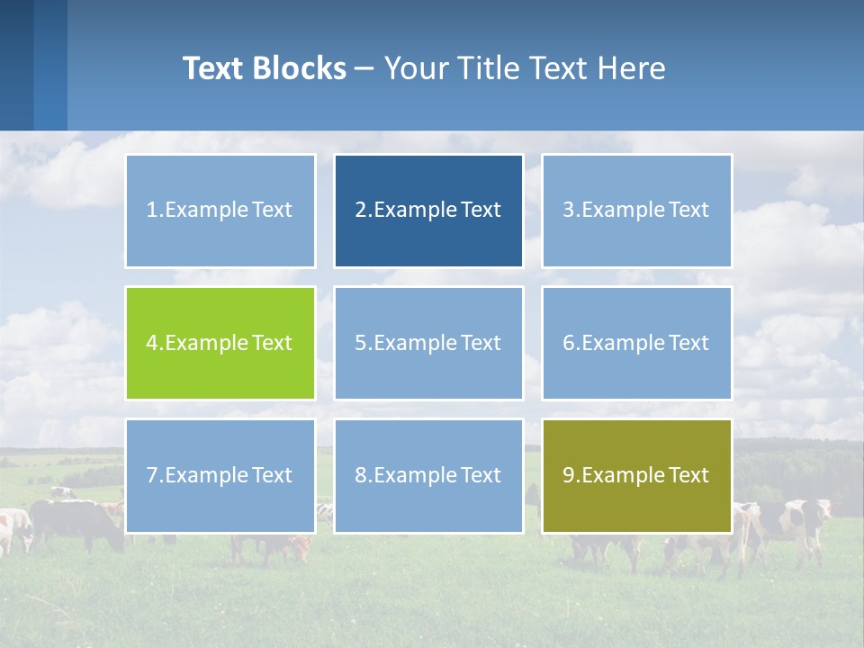 Cows In The Field PowerPoint Template