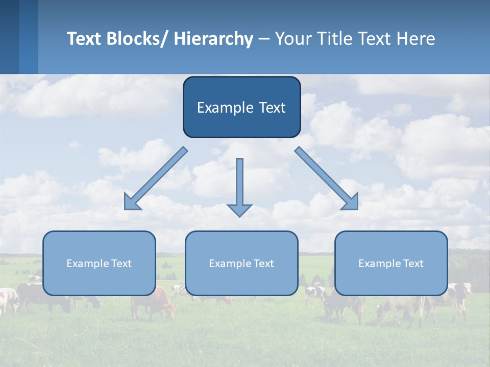 Cows In The Field PowerPoint Template