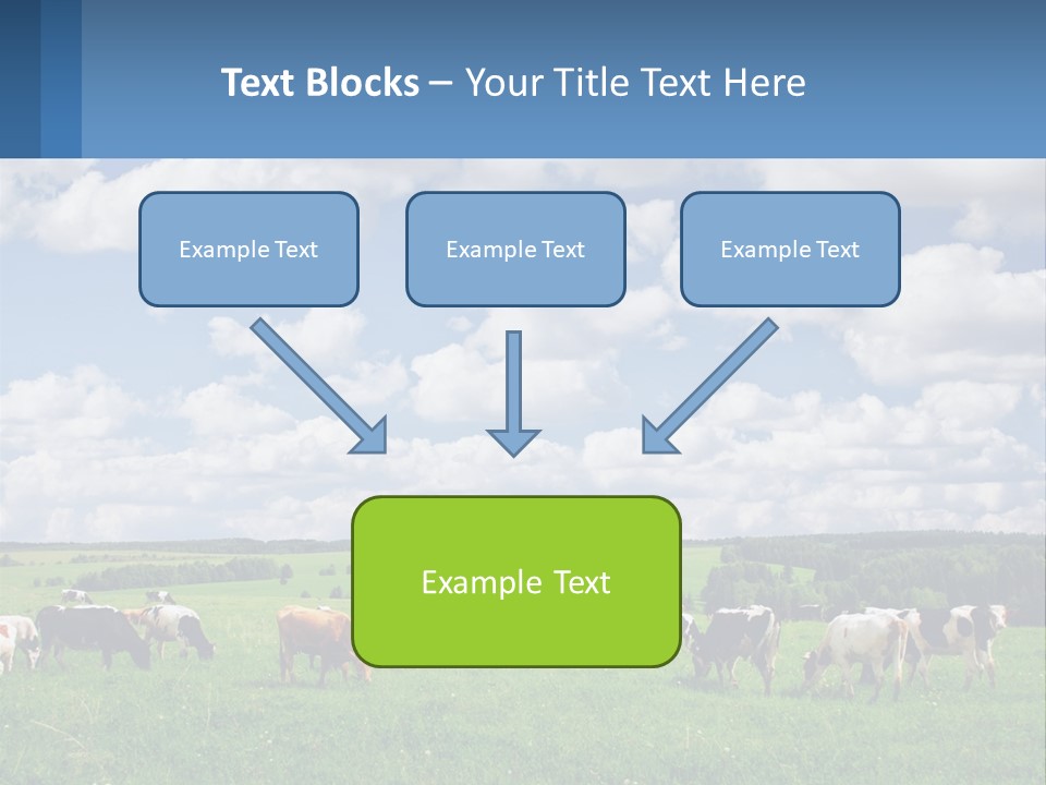 Cows In The Field PowerPoint Template