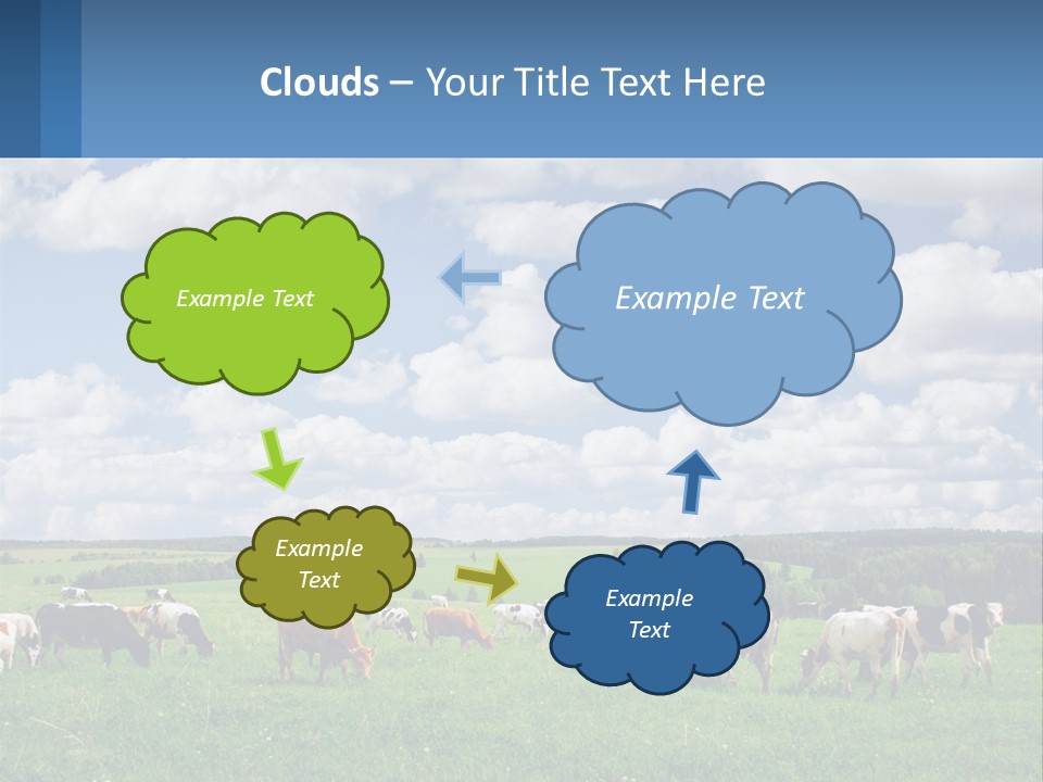 Cows In The Field PowerPoint Template