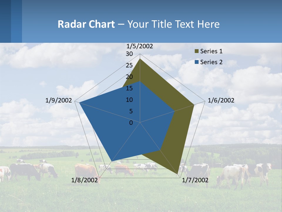 Cows In The Field PowerPoint Template