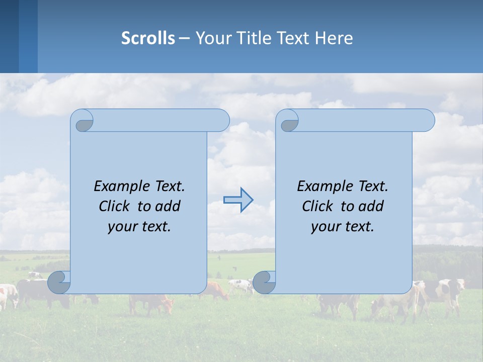 Cows In The Field PowerPoint Template