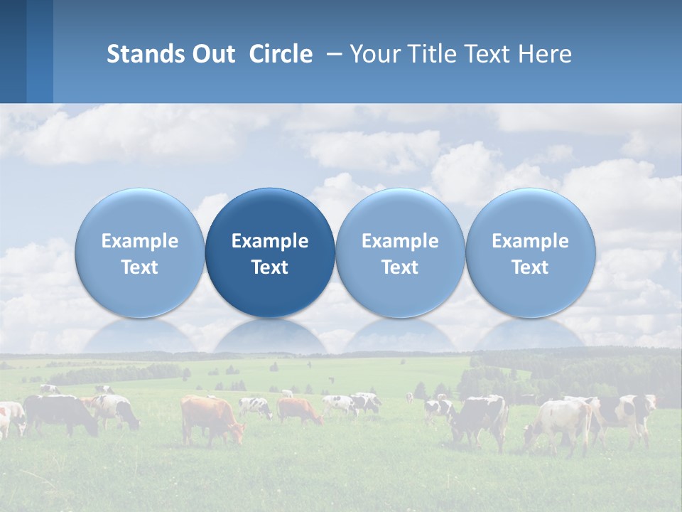 Cows In The Field PowerPoint Template