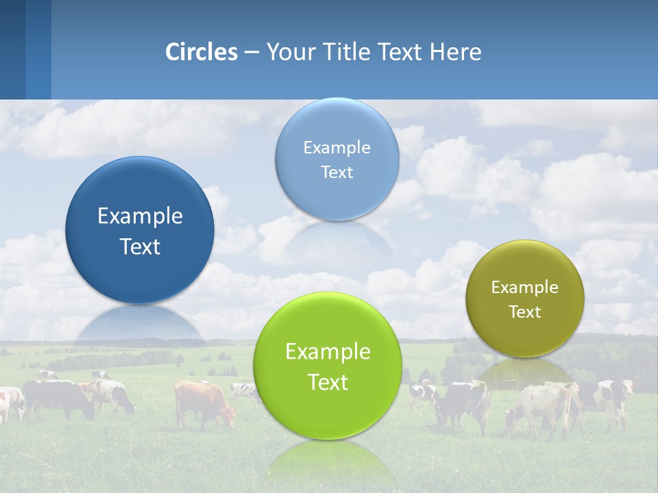 Cows In The Field PowerPoint Template