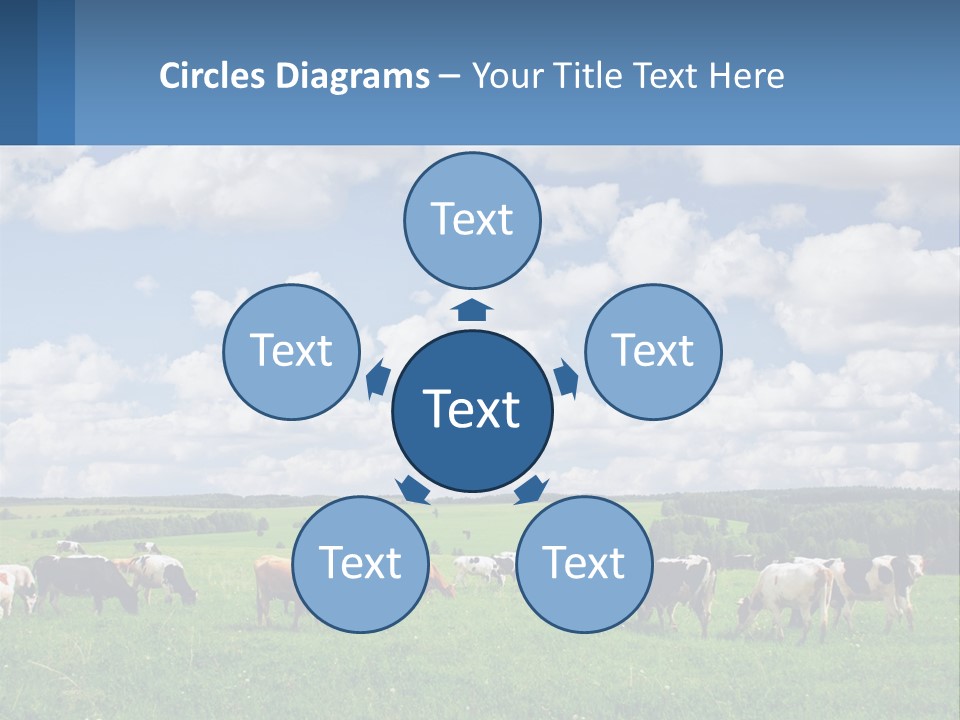 Cows In The Field PowerPoint Template