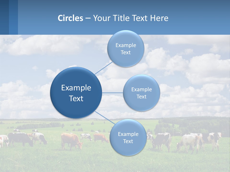 Cows In The Field PowerPoint Template
