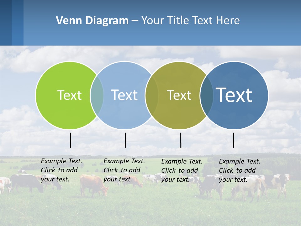 Cows In The Field PowerPoint Template