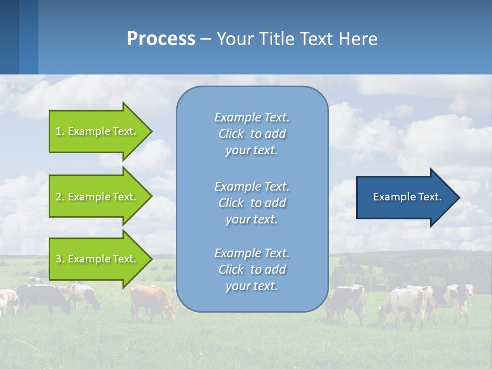 Cows In The Field PowerPoint Template
