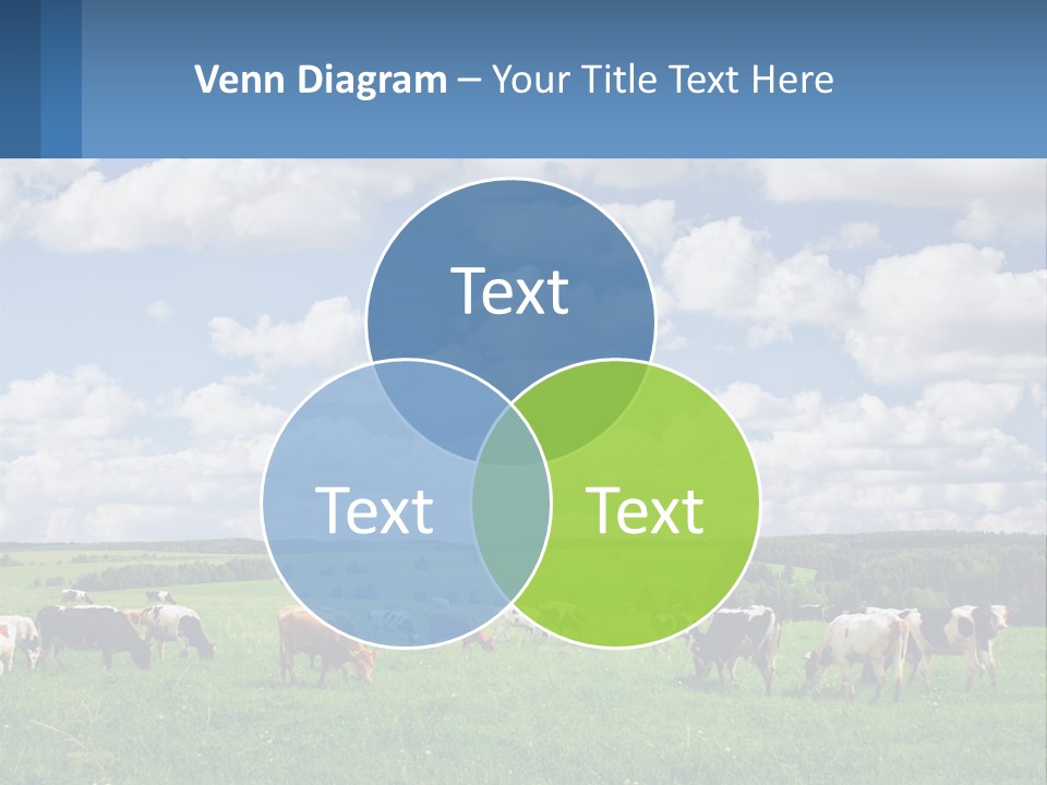 Cows In The Field PowerPoint Template