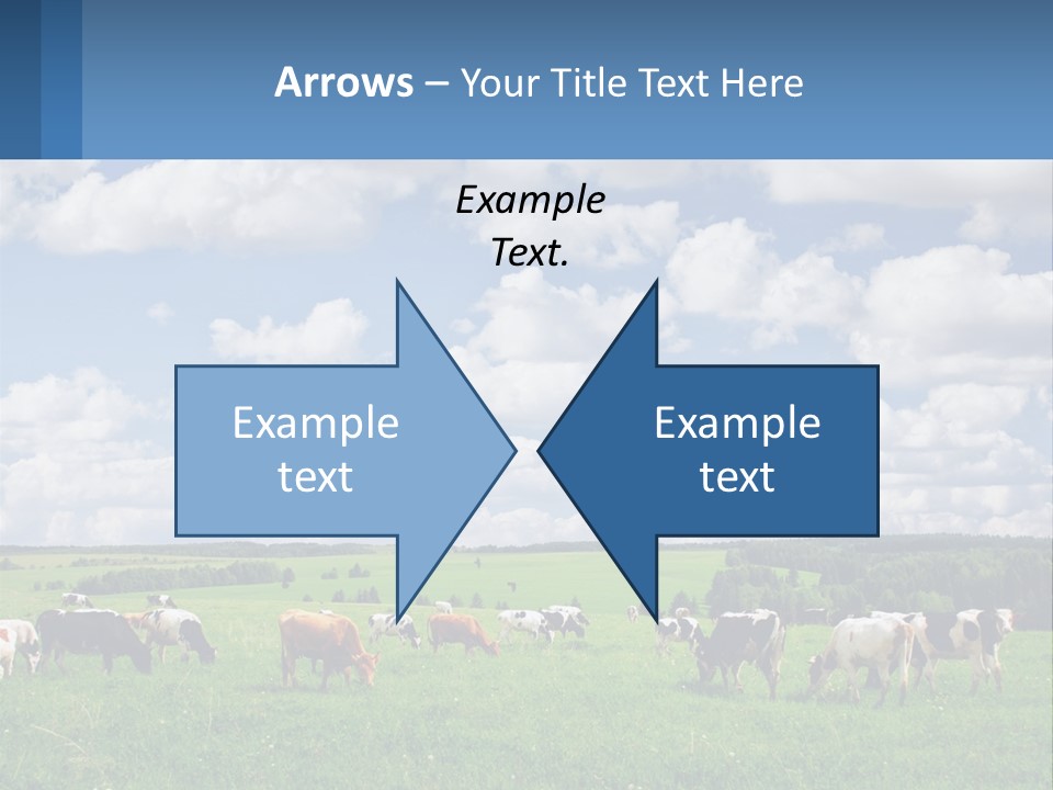 Cows In The Field PowerPoint Template