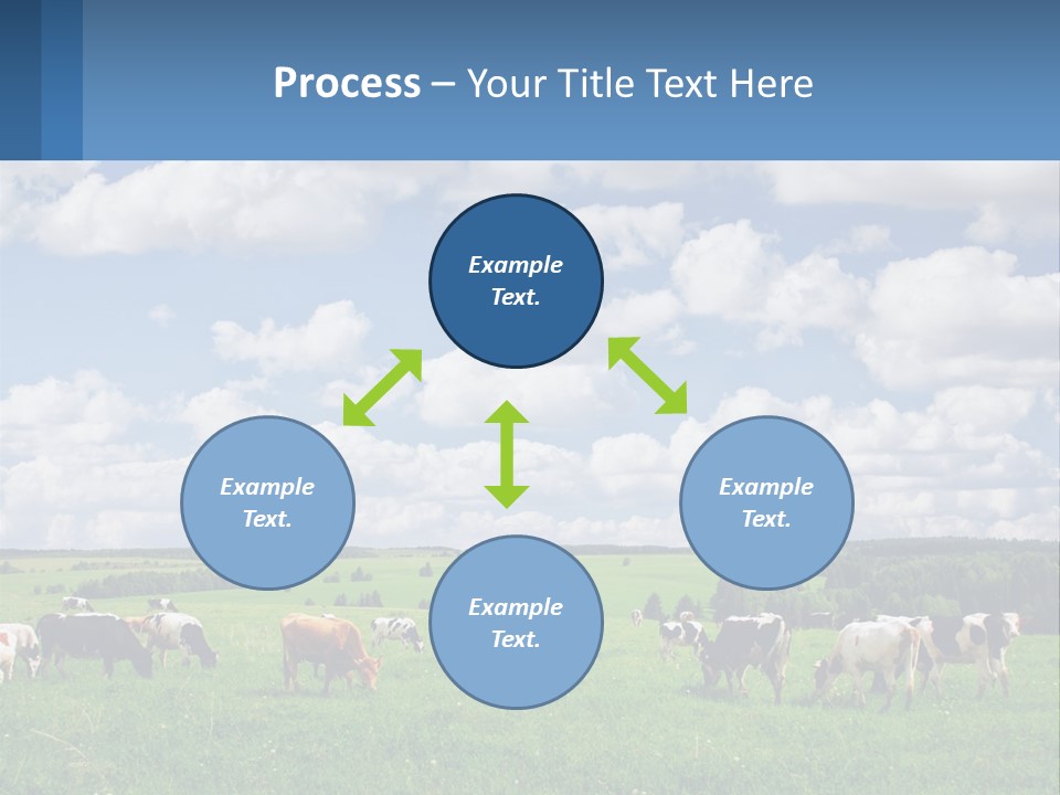 Cows In The Field PowerPoint Template