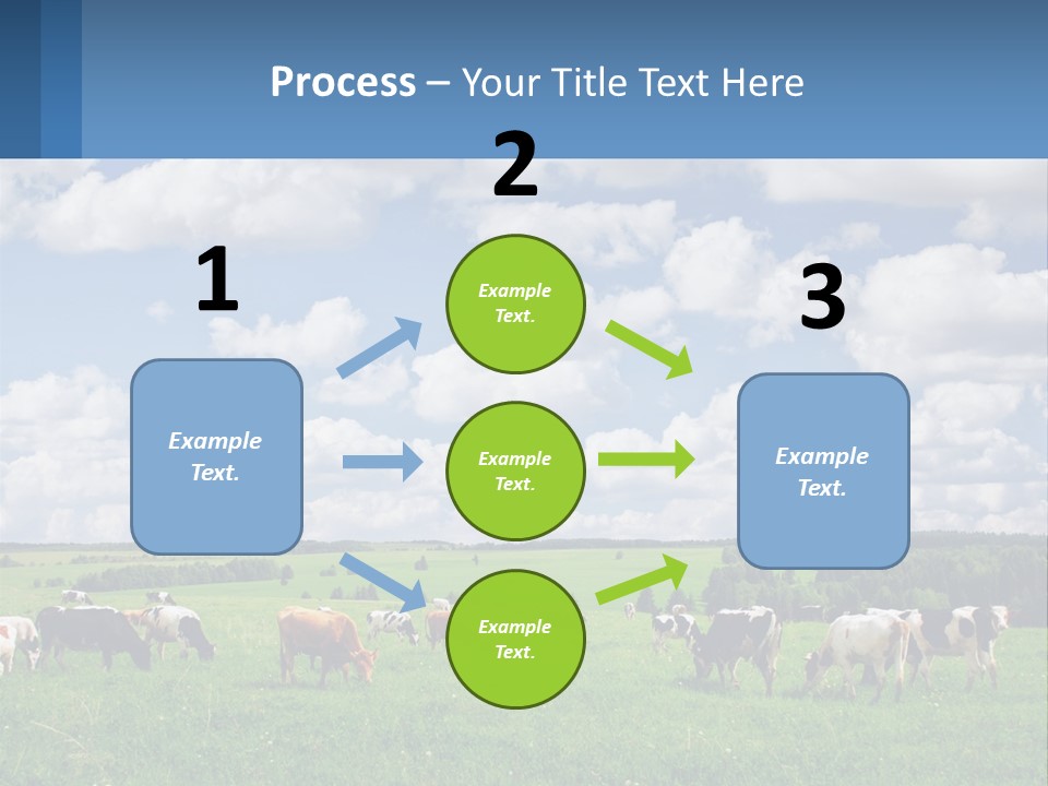Cows In The Field PowerPoint Template